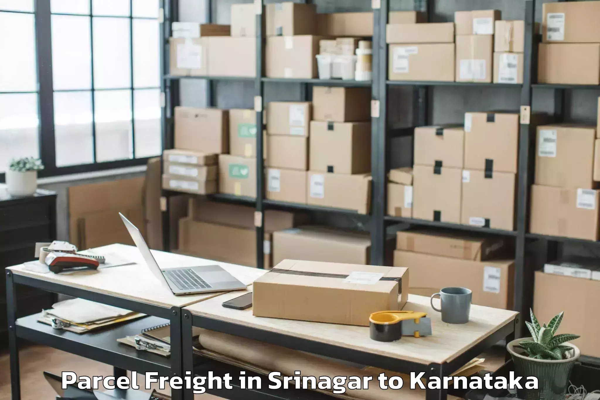 Easy Srinagar to Karempudi Parcel Freight Booking